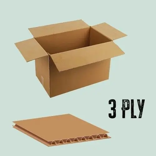 3ply Carton